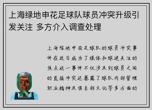 上海绿地申花足球队球员冲突升级引发关注 多方介入调查处理