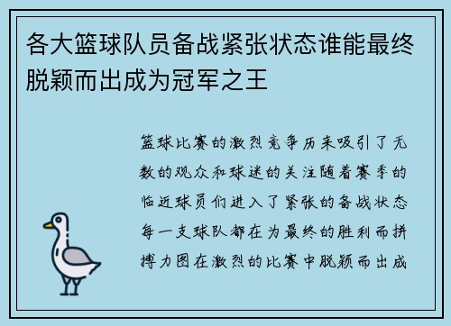 各大篮球队员备战紧张状态谁能最终脱颖而出成为冠军之王